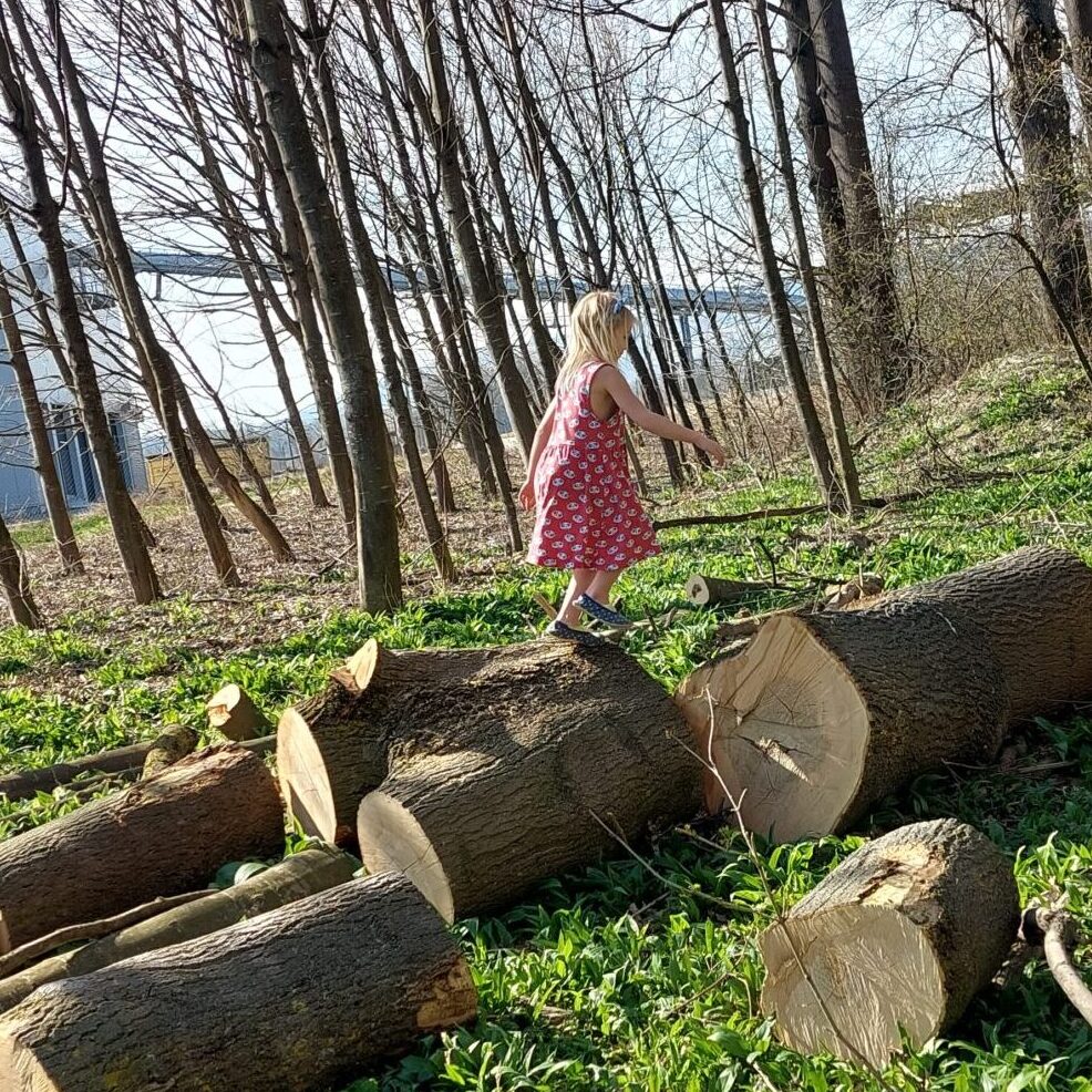 7 pomysłów na… kreatywne zabawy w lesie
